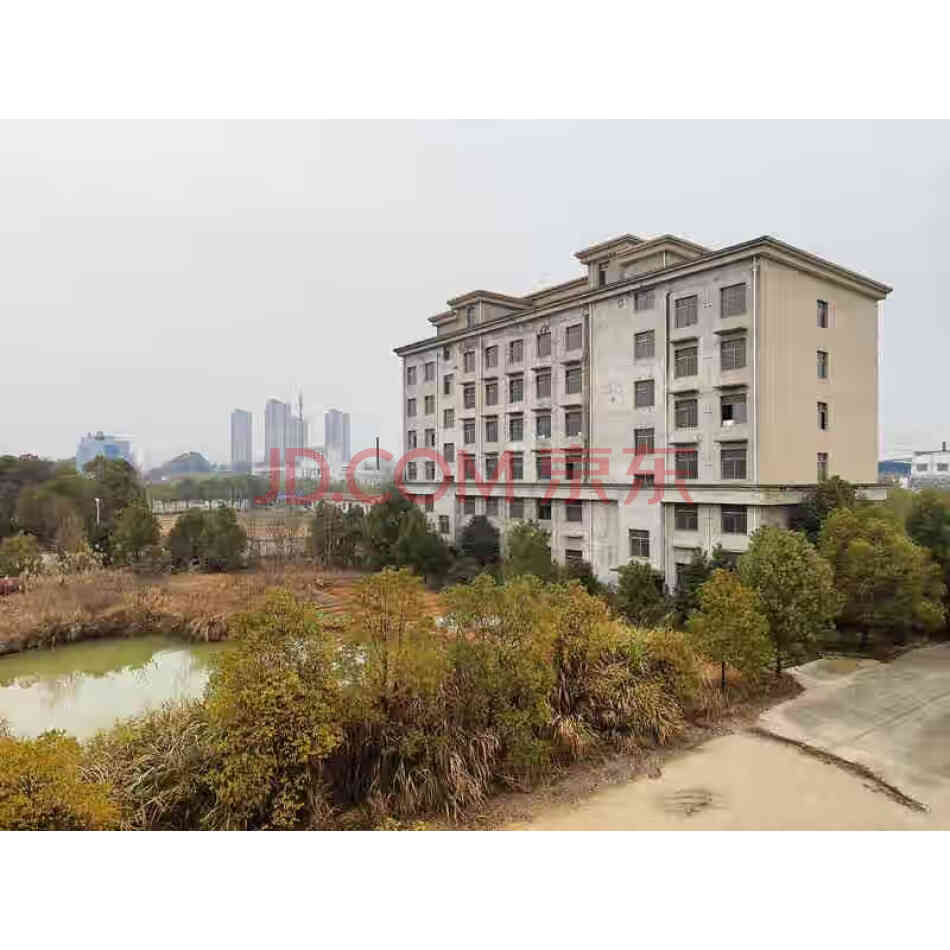 鹏程大道以北伏虎山路以东9幢在建工业房地产（包含土地使用权，建筑物，地上附着物、绿化）