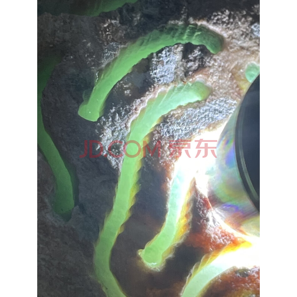 JDBEP14 缅甸天然翡翠原石一件 重量1.53公斤