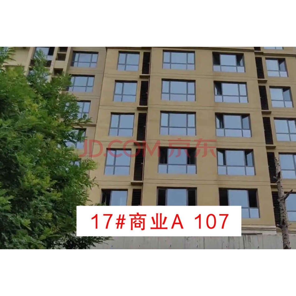 【第1次拍卖】石家庄市“赫石府”17#商业A 107号