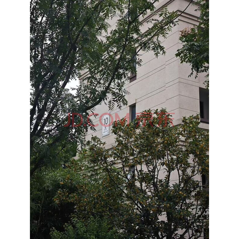 湖州市南浔区南浔经济开发区南浔大道1666号水秀悦府10幢1003室房产