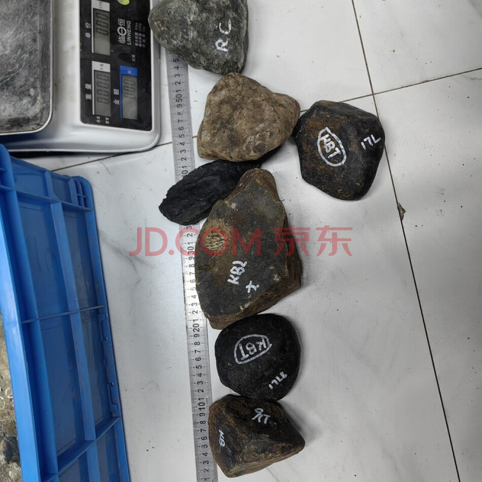 JDHDZT2165 天然翡翠原石毛料