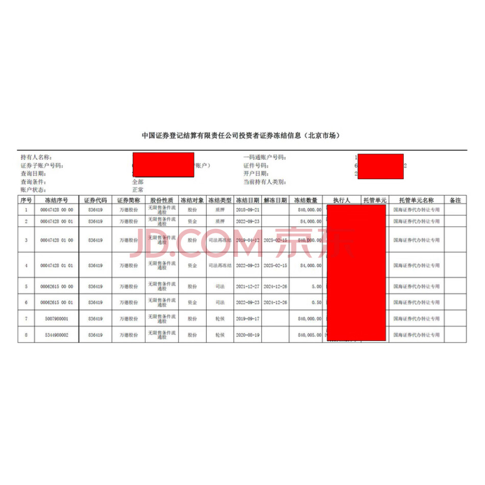 曹大勇持有的西安万德能源化学股份有限公司840005 股股票