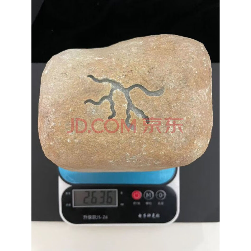 DR0296翡翠原石，表显明显，未鉴定，重约2636g