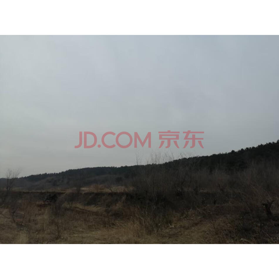 砖城子村lj林权