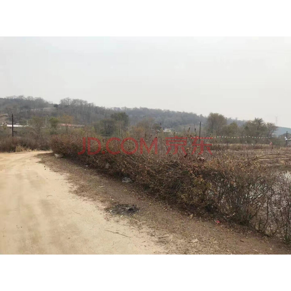 抚顺市顺城区会元乡马金村土地使用权