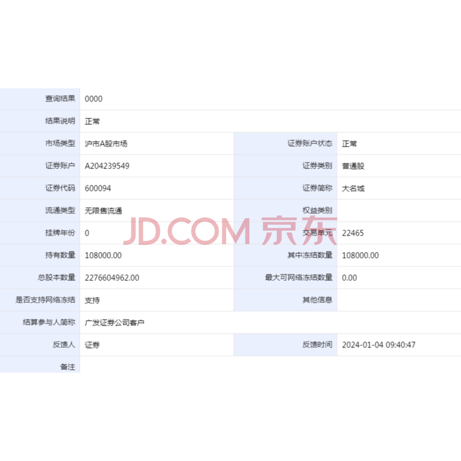 “大名城”股票108000股（证券代码为600094,流通类型：无限售流通股)
