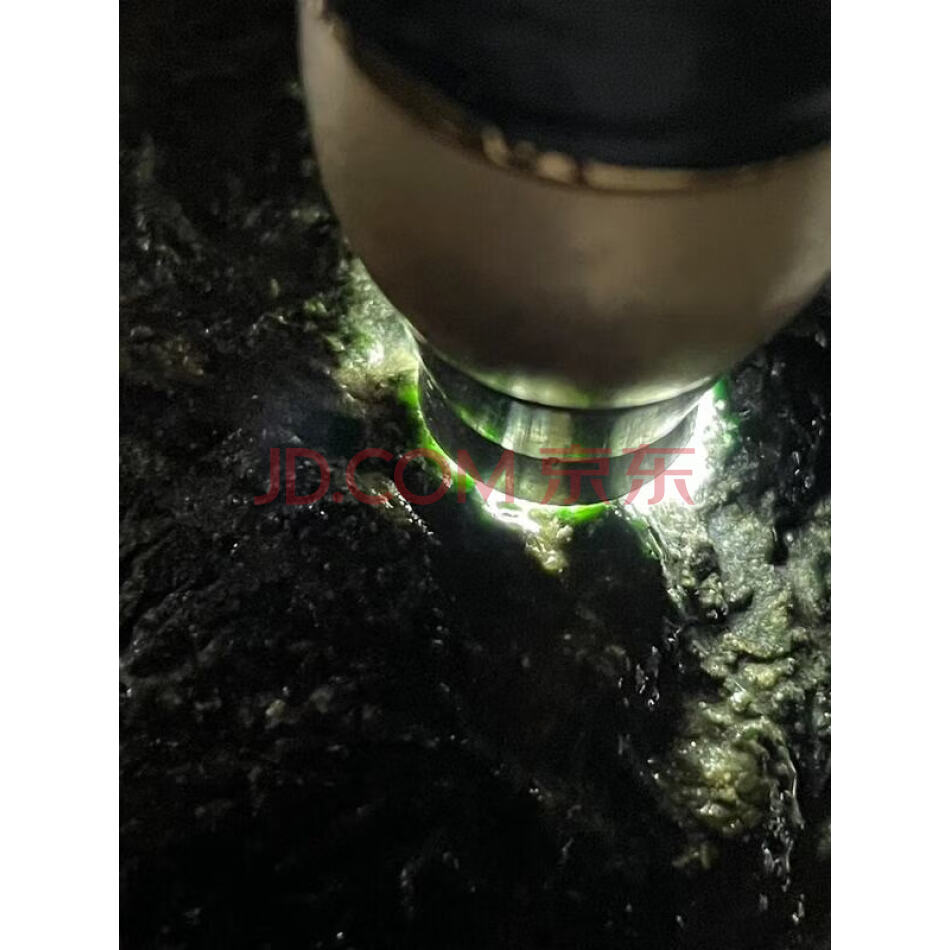 JDBEP64 缅甸天然翡翠原石一件 重量926克