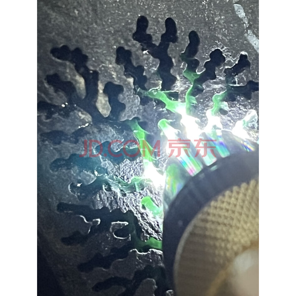 JDBEP49 罚没缅甸天然翡翠原石一件