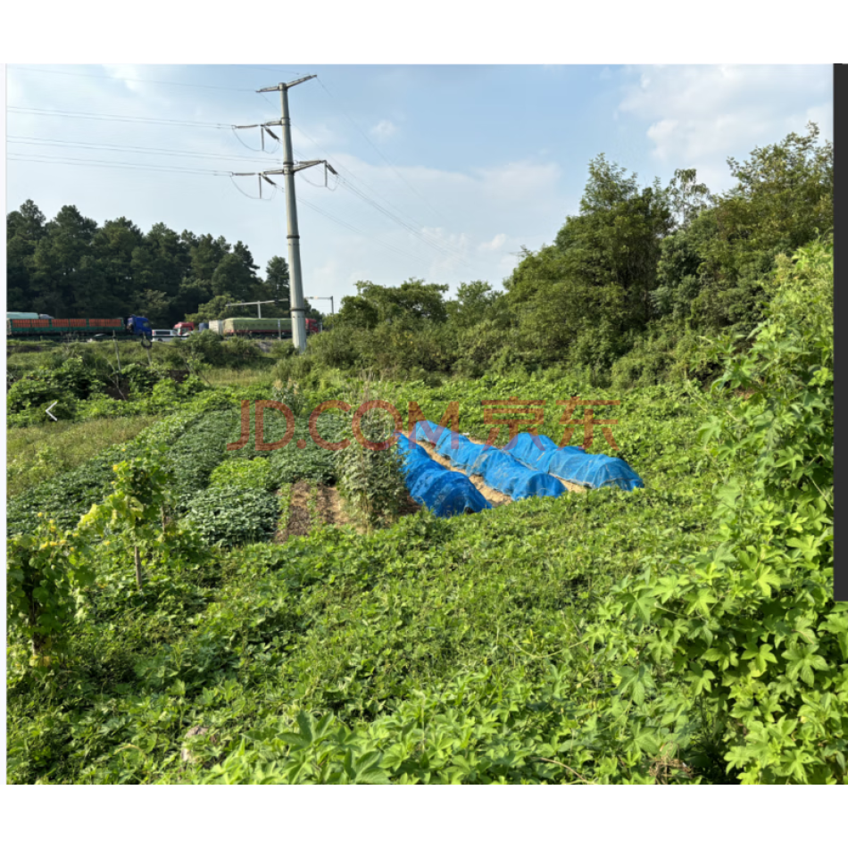 上饶市信州区朝阳镇下源居委会地块
