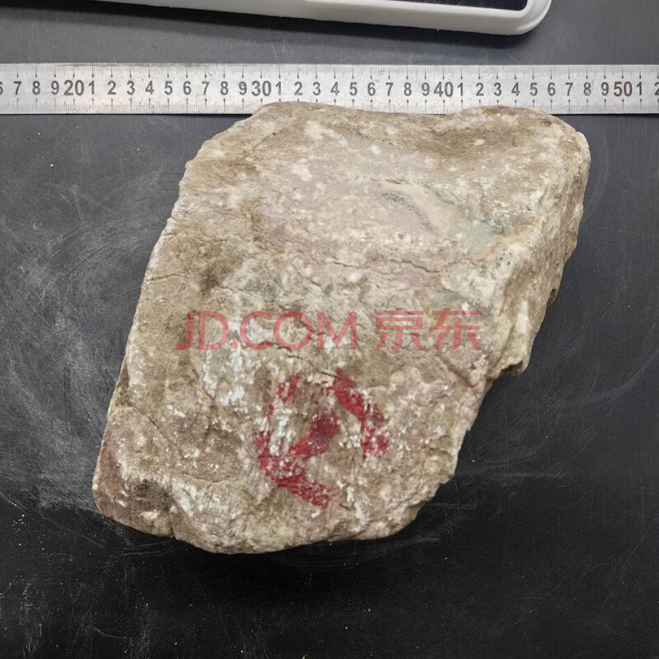 JDHDZT2145 天然翡翠原石毛料