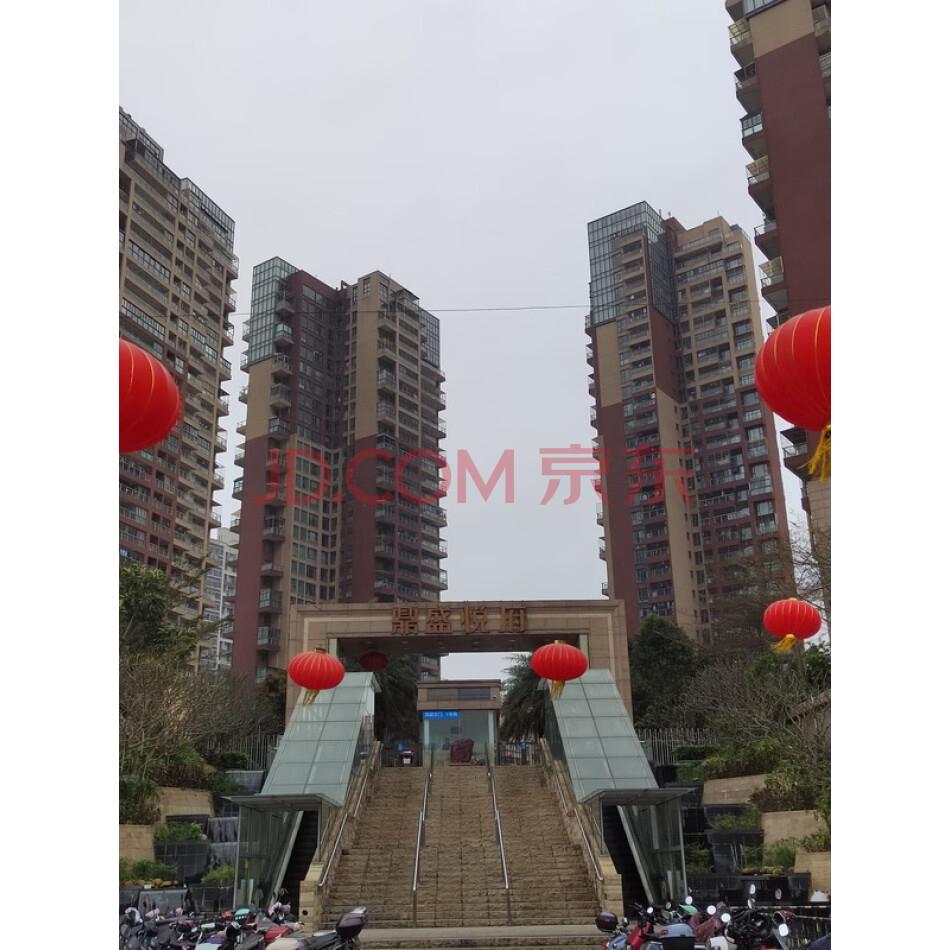 湛江市霞山区人民大道南116号鼎盛广场7号楼1003房