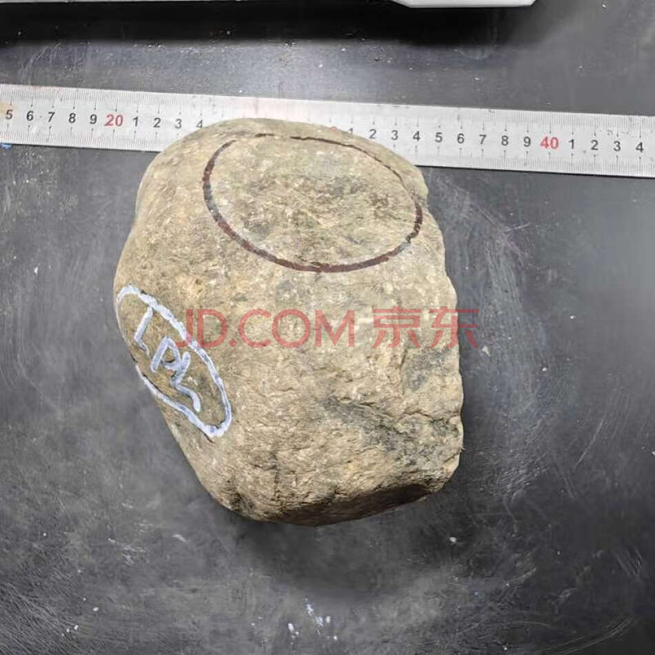 FCHDZT1262 原石毛料