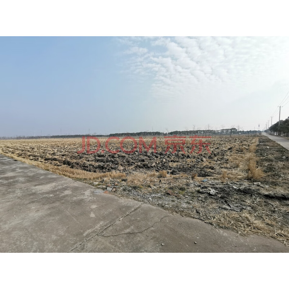 上海市崇明区新河镇68街坊6/2丘地块（农业用地）国有出让土地使用权
