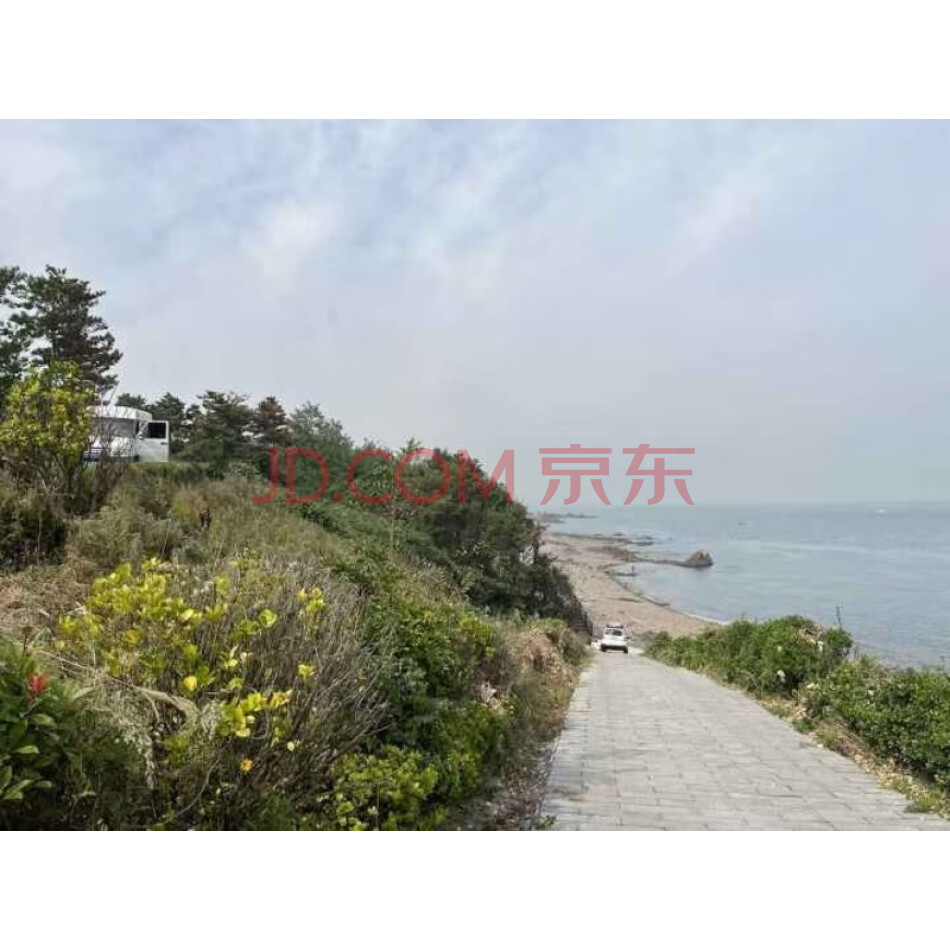 青岛市黄岛区甘水湾环岛路两侧土地使用权 产权证号：青房地权市字第201112603号