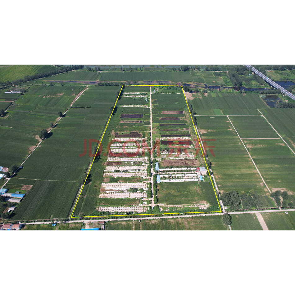 【第1次拍卖】河南省大富肉食品有限公司农村土地承包经营权流转权