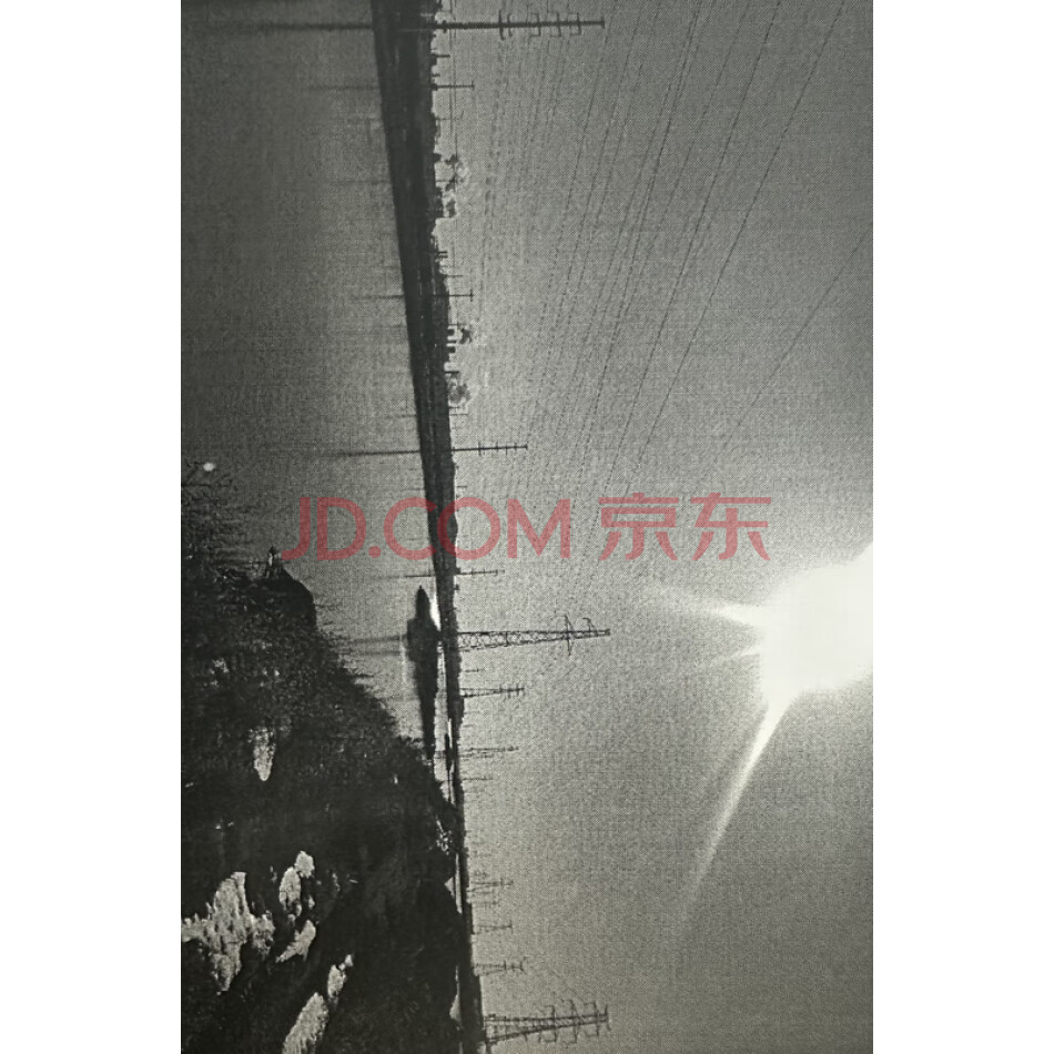 唐山市曹妃甸区十里海中二路以西高压走廊及进水渠道C5段631亩土地经营权