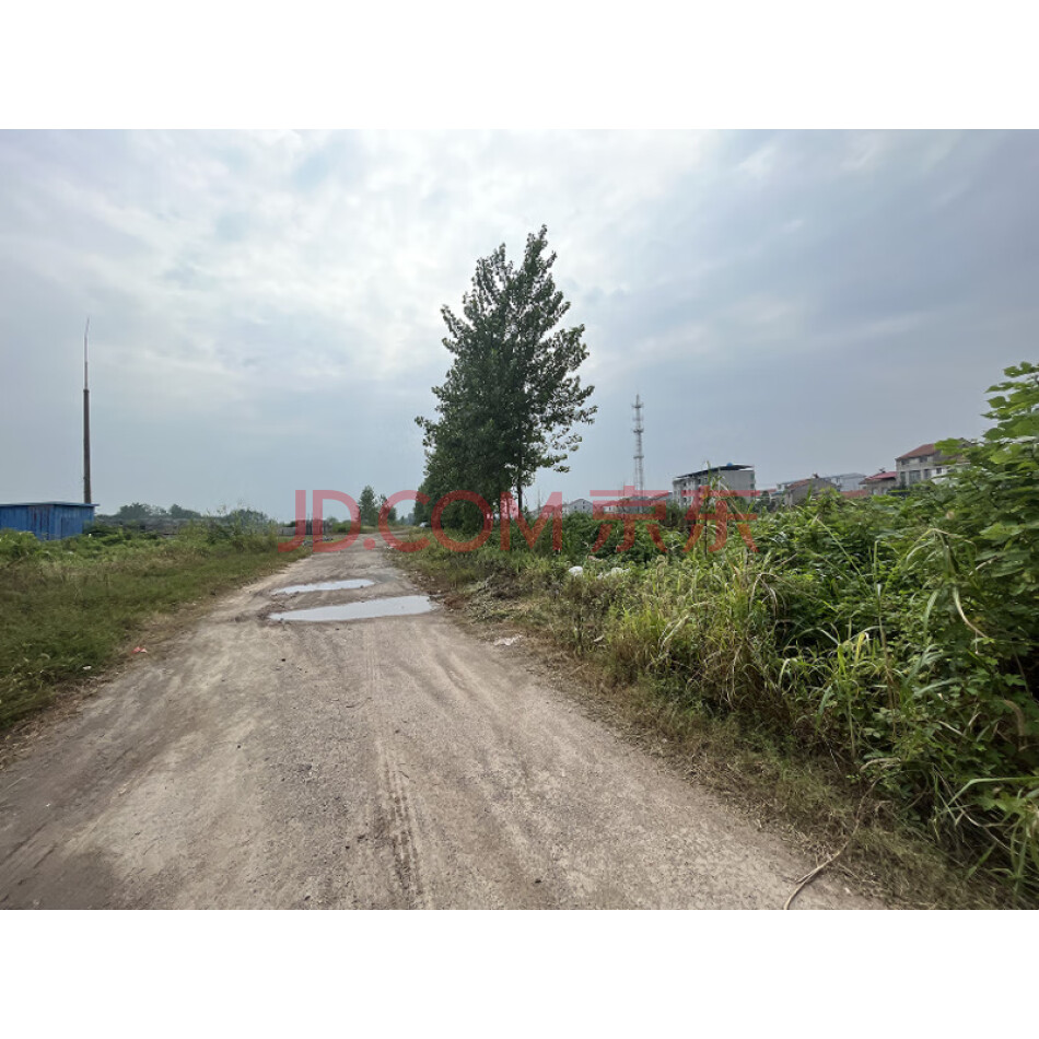 黄冈三泰纺织有限公司位于黄州区堵城镇堵城镇团风大道特二号土地使用权