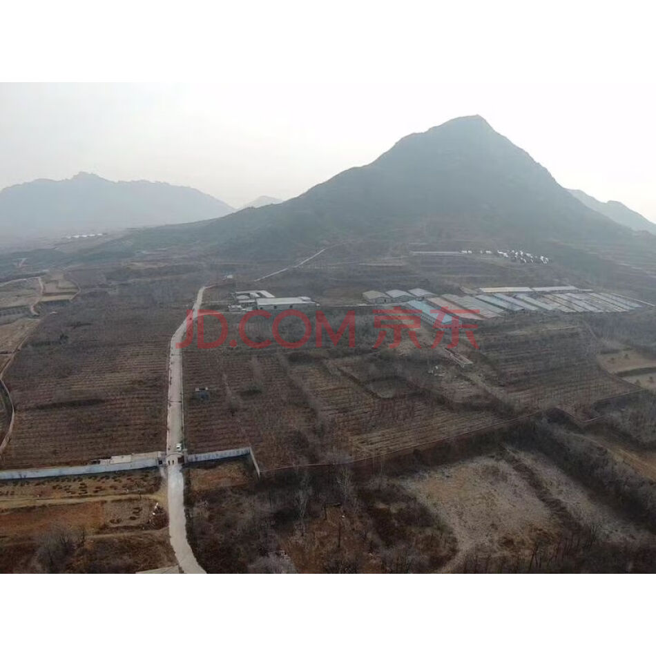 平山县两河乡山北头村养殖场的土地承包经营权及地上附属物品
