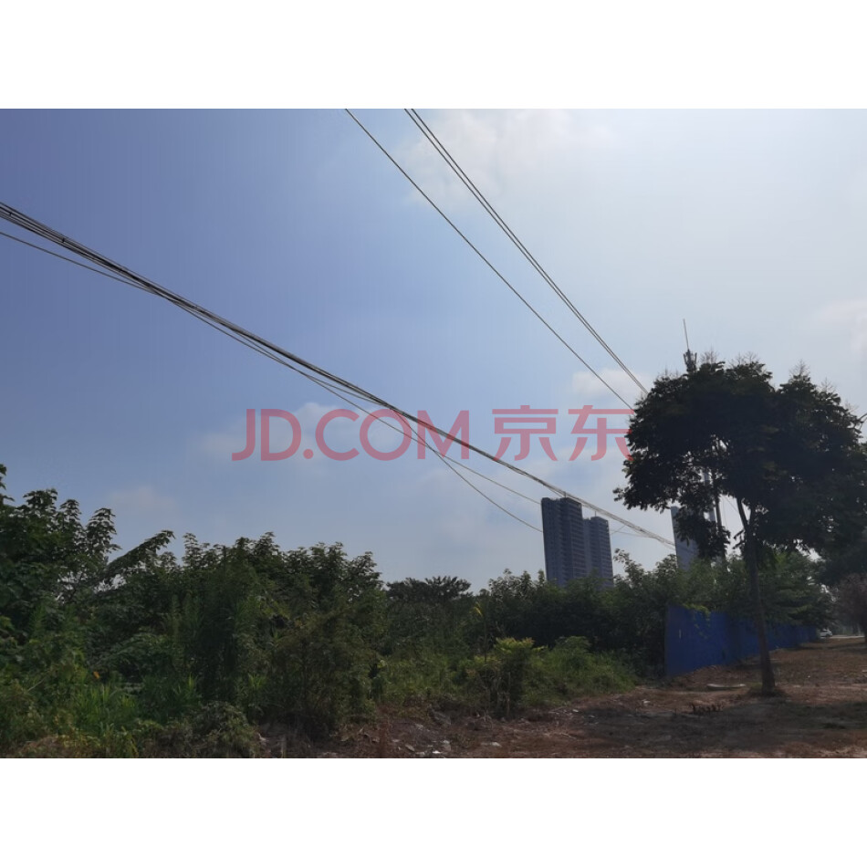 位于洪湖市新滩镇江夏大道北侧的国有建设用地使用权及地上附属物（桩基础）
