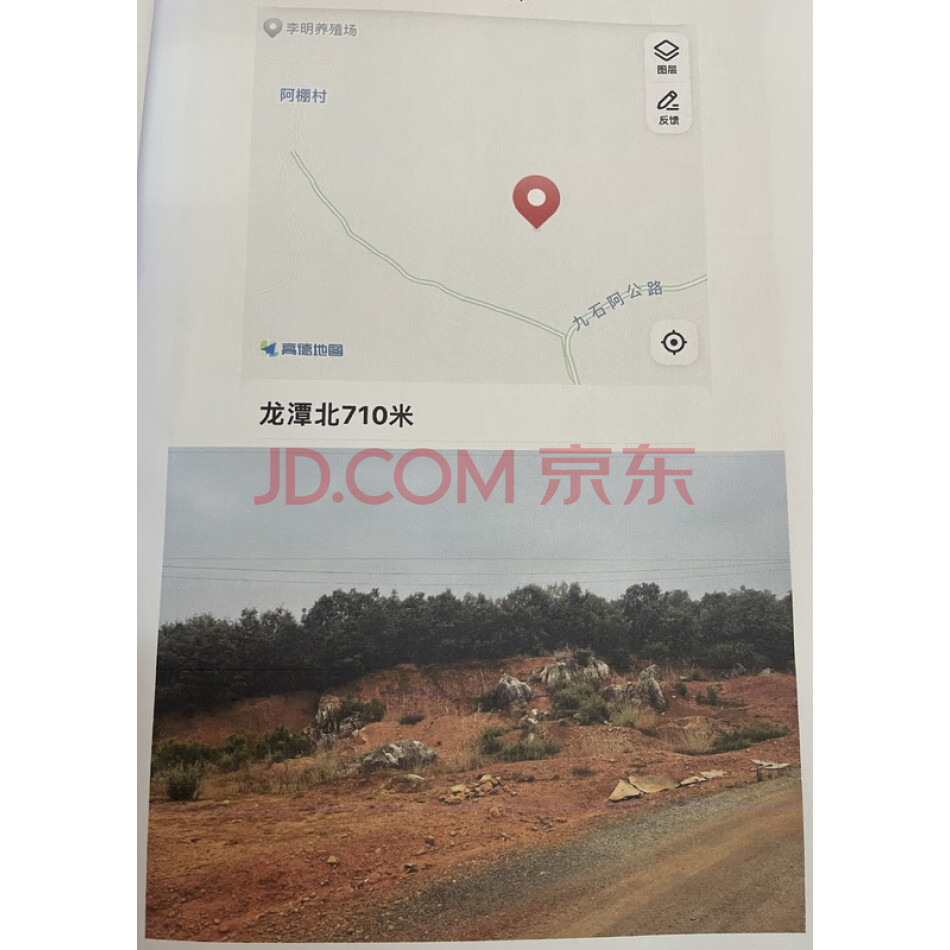 阿棚村村小组的林权