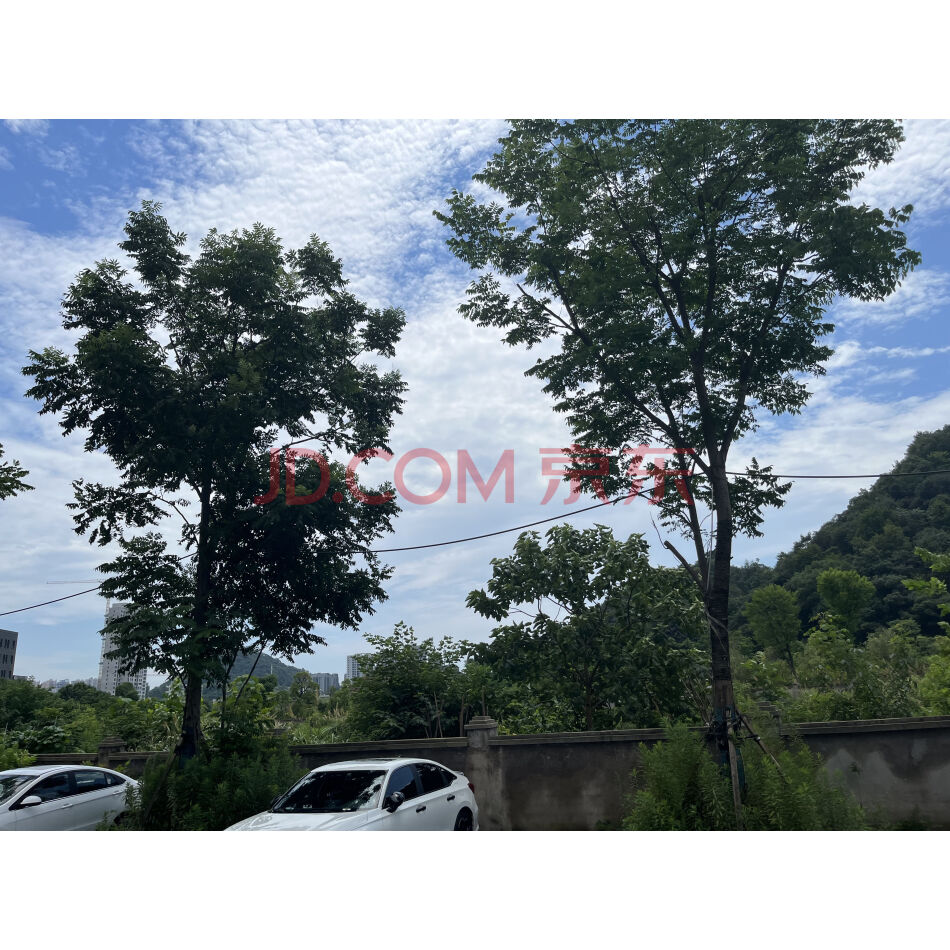 【第1次拍卖】株洲理想城房地产开发有限公司名下位于株洲市芦淞区枫溪大道与江渌路交汇处东南角株洲天池的十亩地
