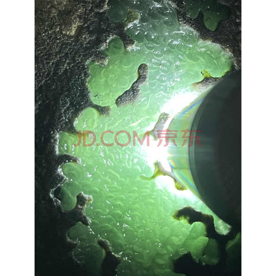 JDHHRL06 缅甸天然翡翠原石一件 重量1.17公斤