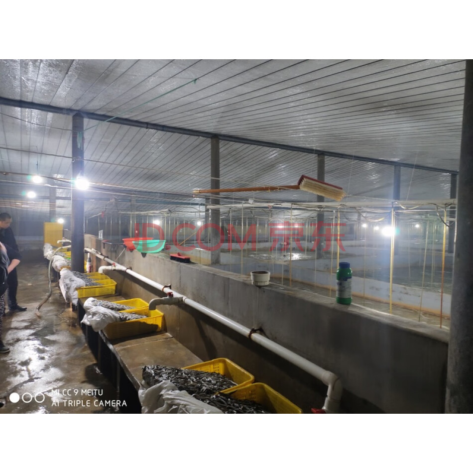 位于兴城市曹庄镇小英堡子村王屯的6个鱼棚及附属建筑物
