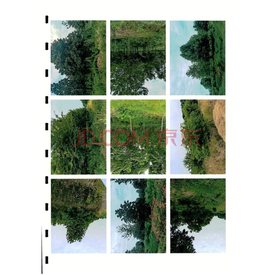 周矶农场戴湖分场四队1905亩土地上的苗木73294株