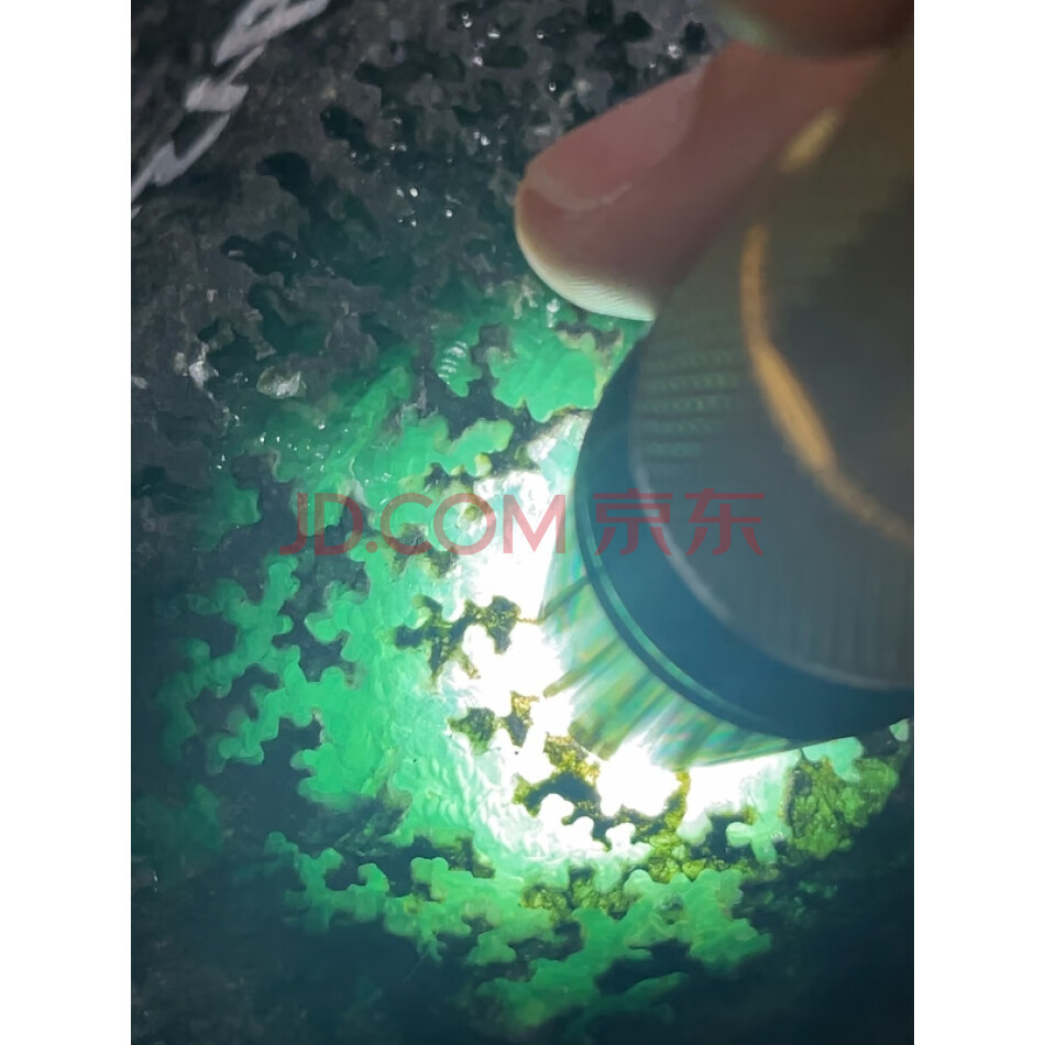 JDBEP68 缅甸天然翡翠原石一件 重量1.21公斤