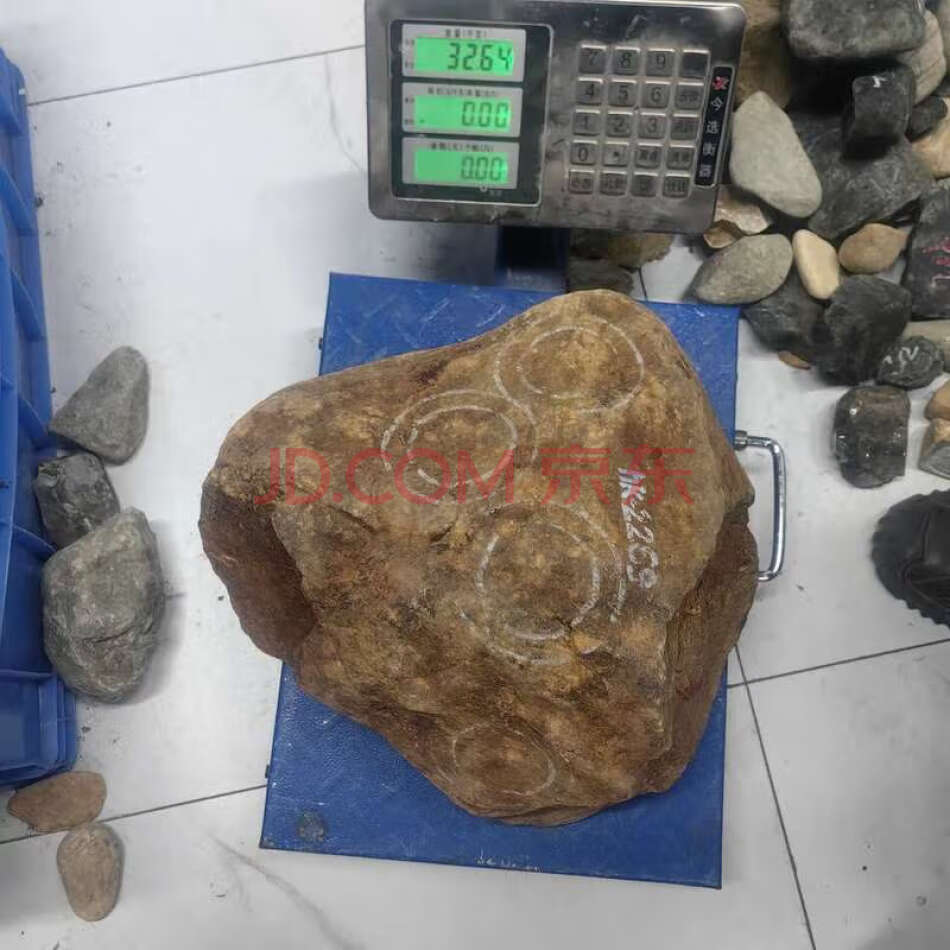 JDHDZT2112 天然翡翠原石毛料