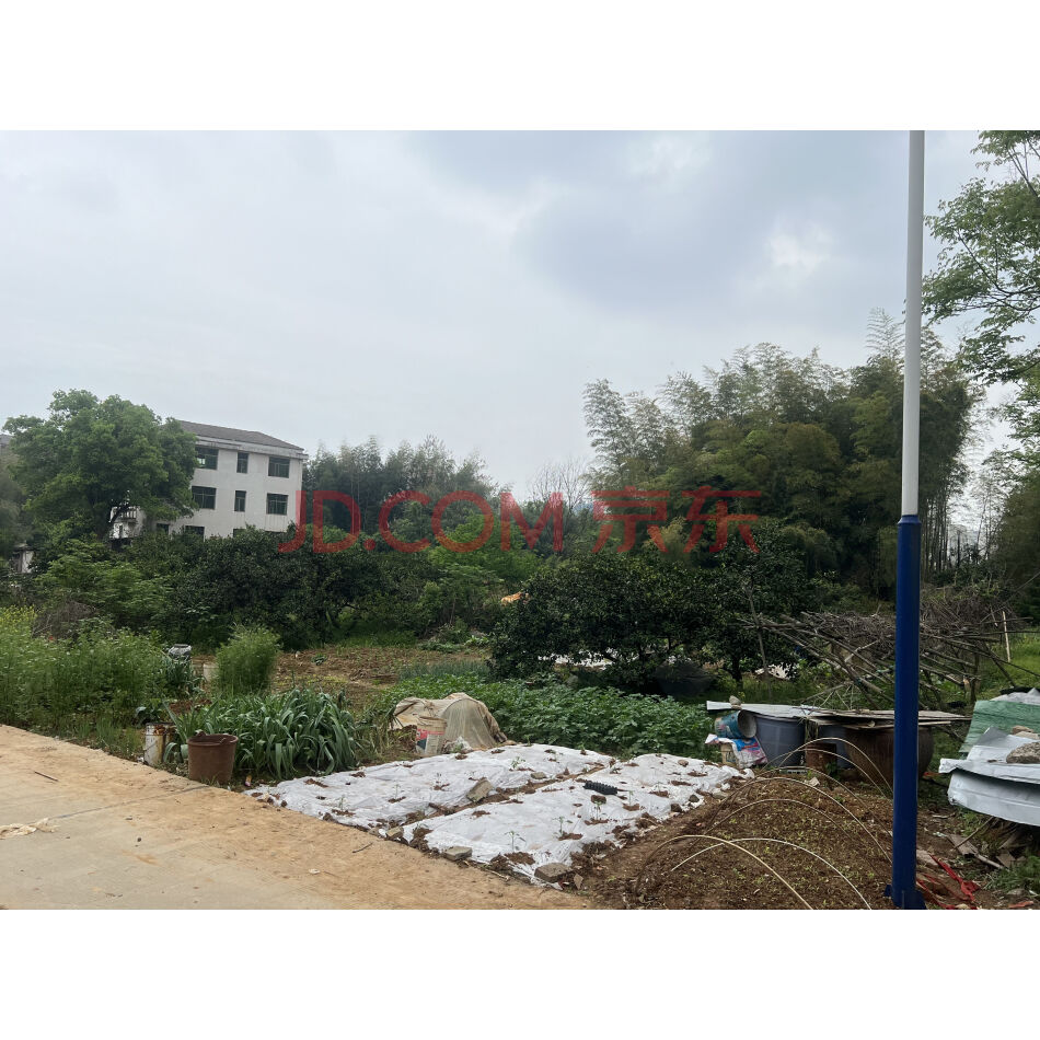 【第1次拍卖】湖南省沅江市荣信纺织有限公司名下位于沅江市工业园区的土地使用权及房屋建筑物