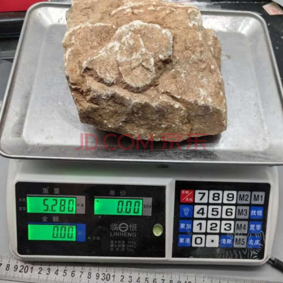 JDHHDZT1952 天然翡翠原石毛料