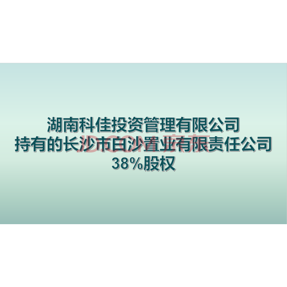 【第3次拍卖】湖南科佳投资管理有限公司持有的长沙市白沙置业有限责任公司38%股权