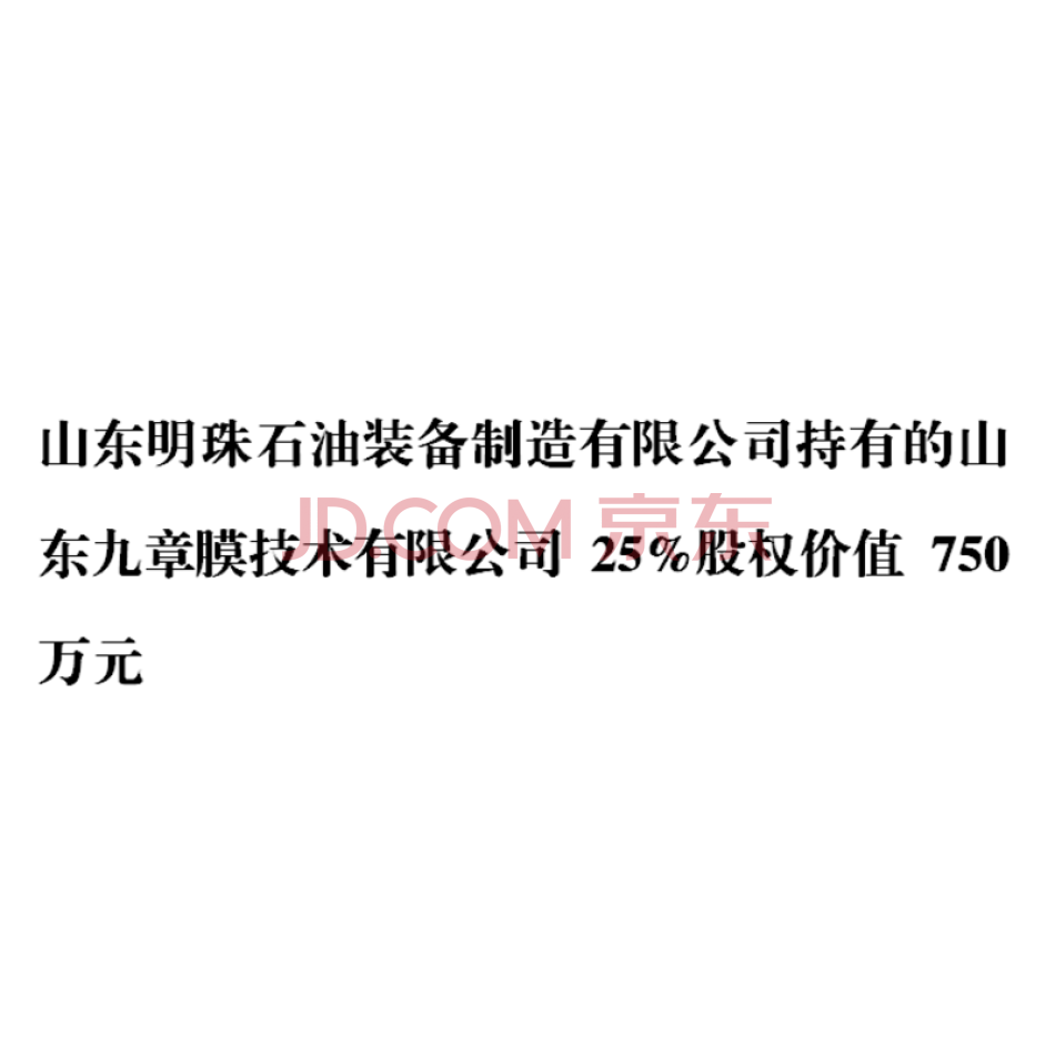 山东明珠石油装备制造有限公司持有的山东九章膜技术有限公司25%股权价值750万元