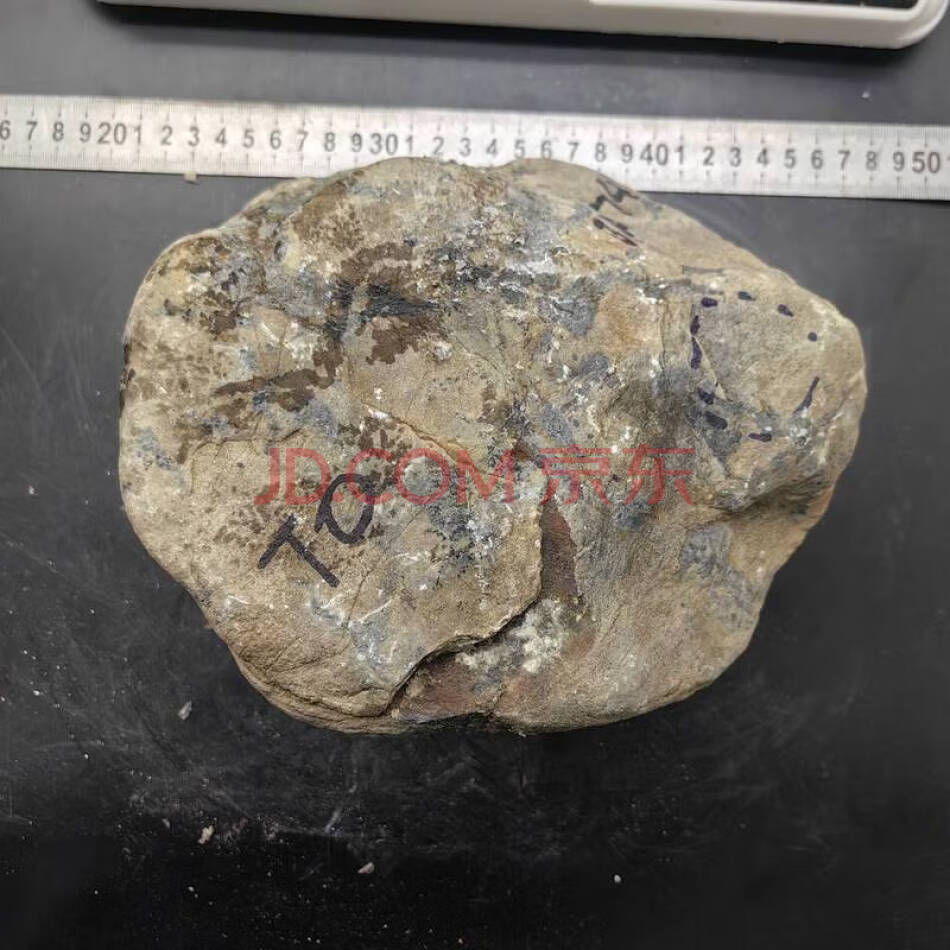 JDHDZT2149 天然翡翠原石毛料