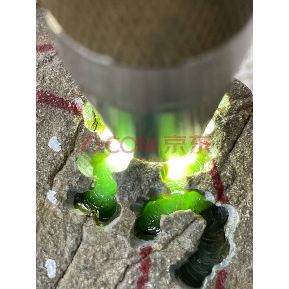  标的4   罚没缅甸翡翠原石处置  （2039克） 
