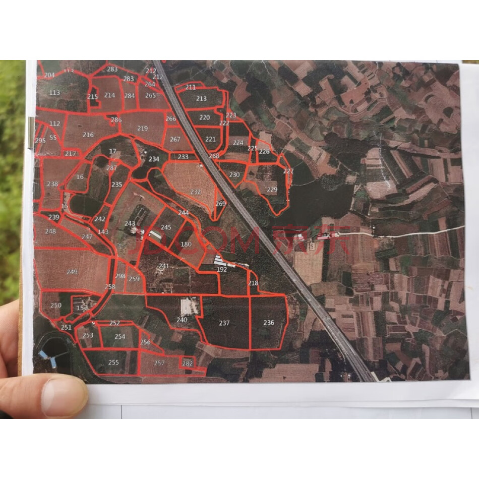 广东农垦湖光农场有限公司142.8亩土地上的经济作物