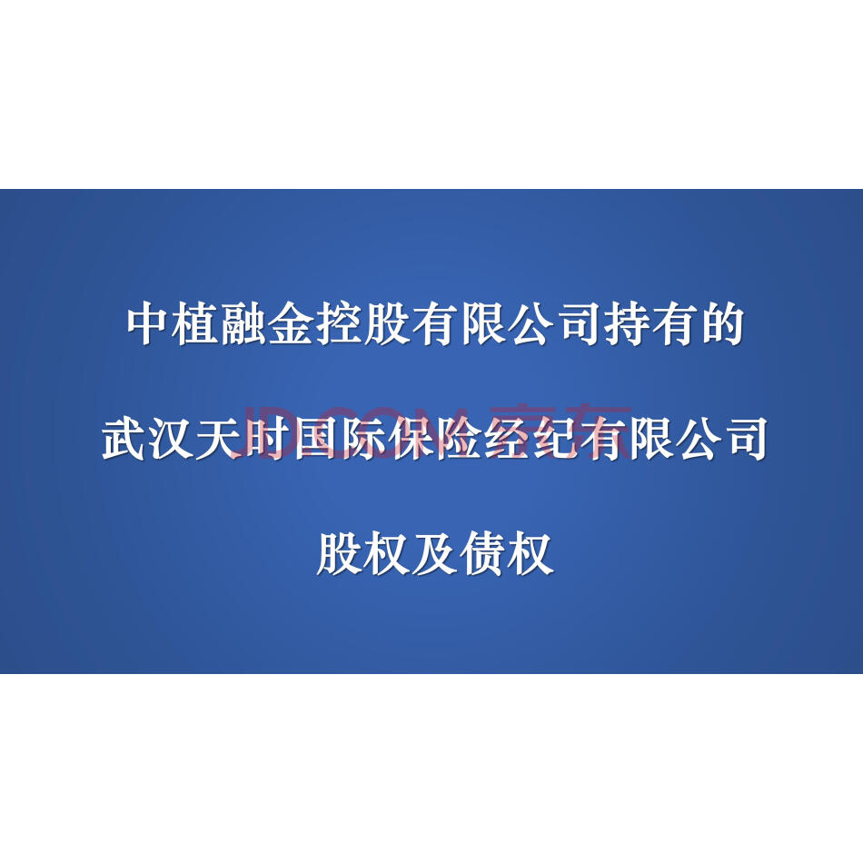 【第1次拍卖】中植融金控股有限公司持有的武汉天时国际保险经纪有限公司股权及债权