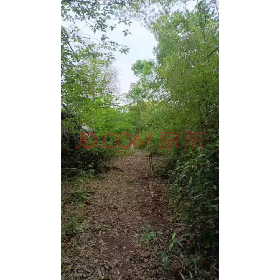 湖南省岳阳市汨罗市古培镇明月村（原中南人防通信工程有限公司）101-301室