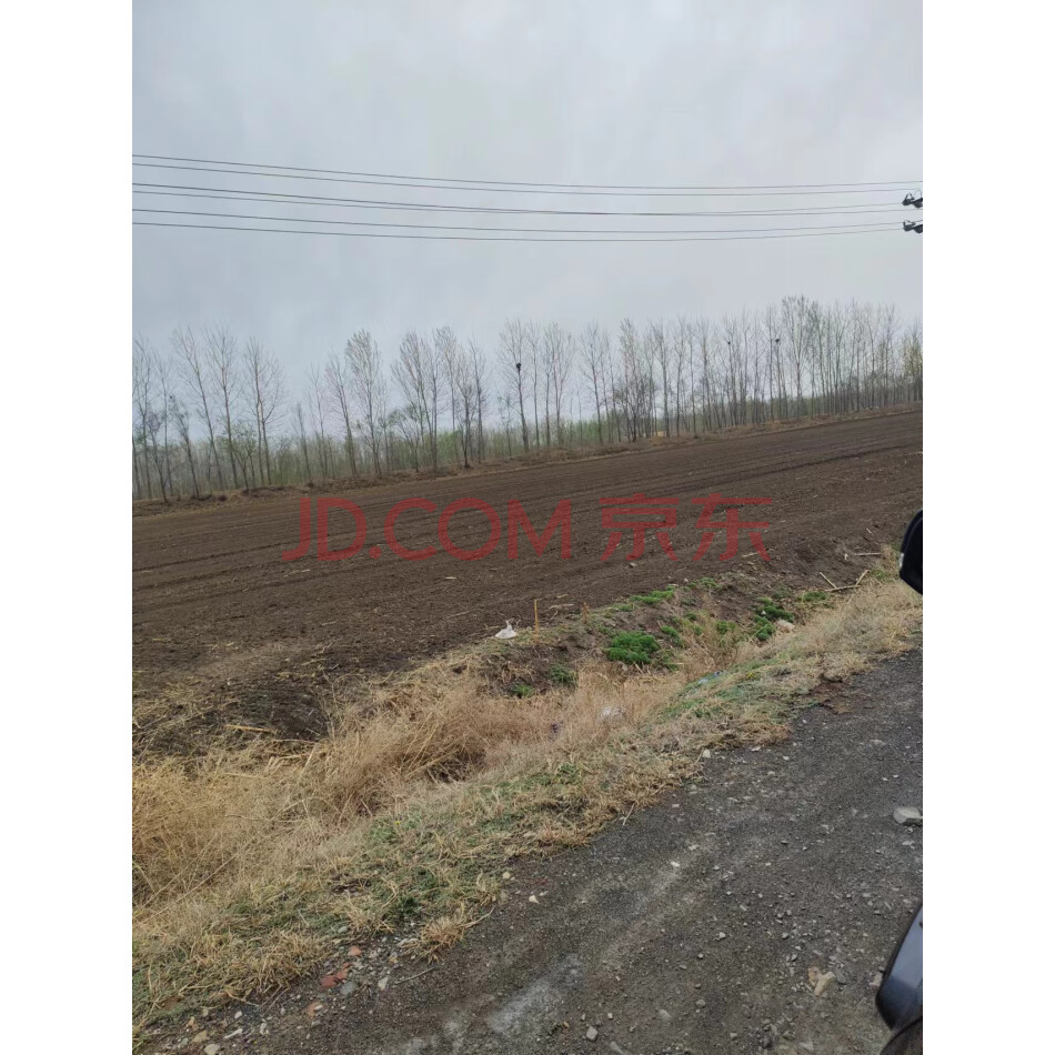 锦州市黑山县四家子镇土地
