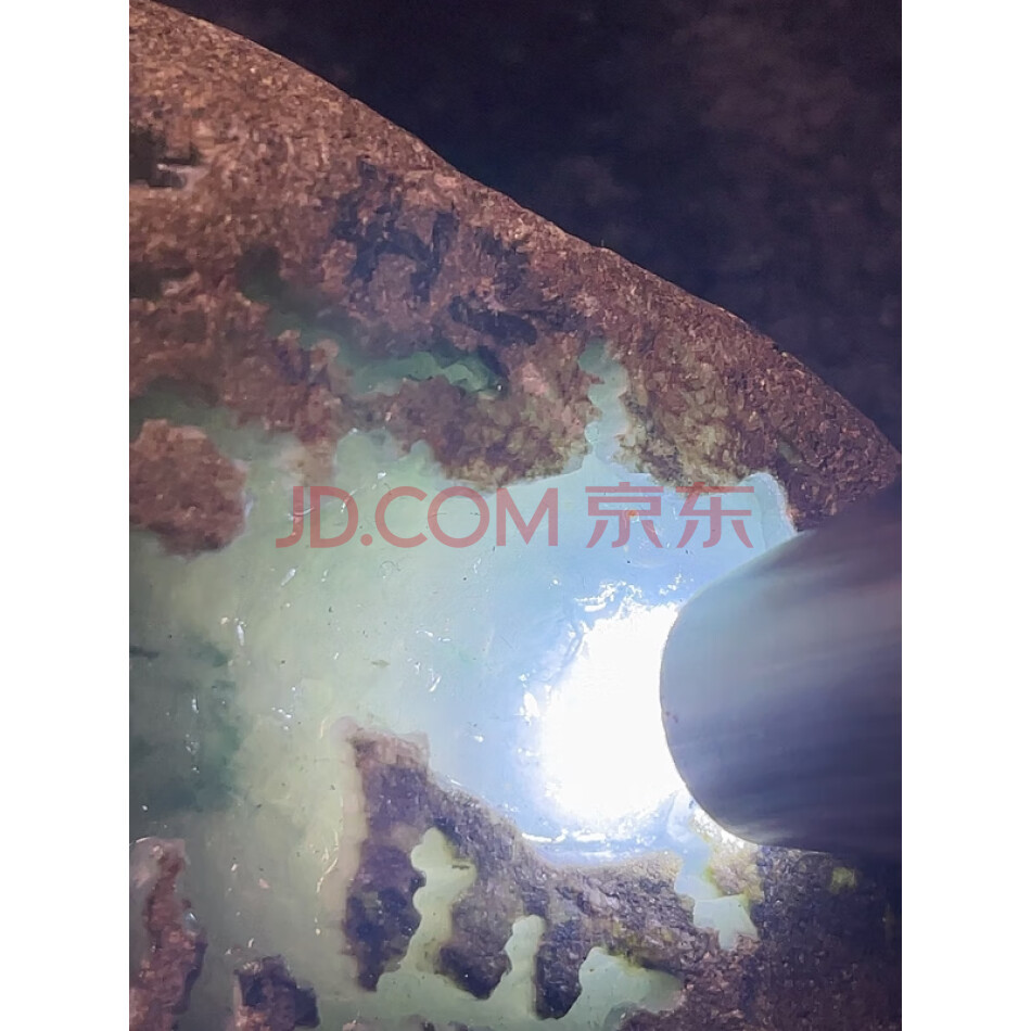 JDBEP79 缅甸天然翡翠原石一件 重量 1.09公斤