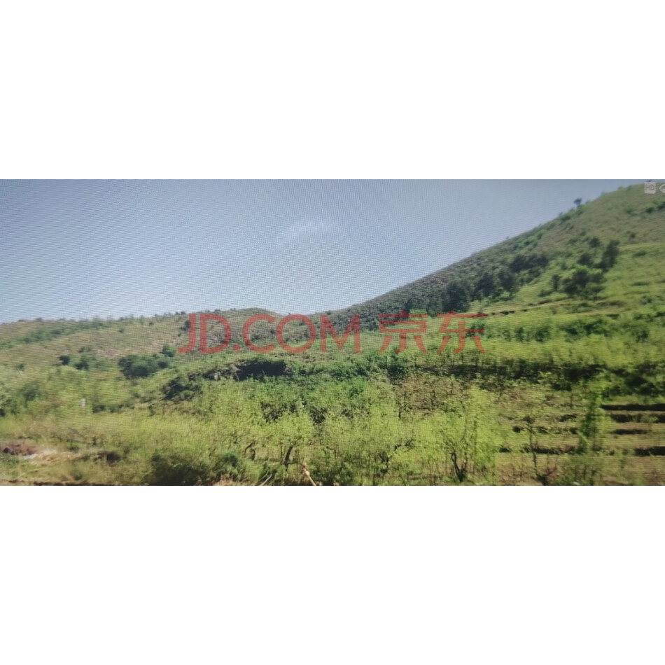 朝阳县羊山镇上屯村林权