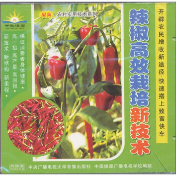 辣椒高效栽培新技术(2VCD) - 农业生产