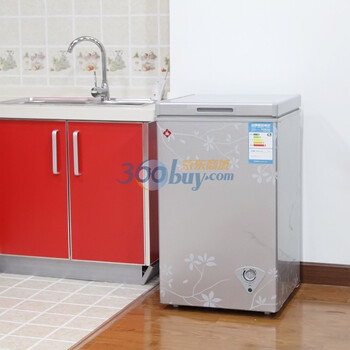 美的(Midea)BD\/C-61SM 迷你型 小冰柜(梅枝暗