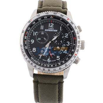 timex t49823
