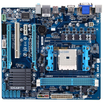 技嘉（GIGABYTE）GA-A55M-S2H 主板(AMD A75/Socket FM1)