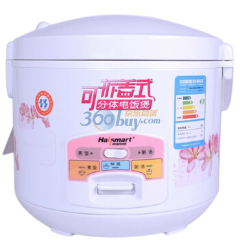 鸿智（hallsmart） HR-YB42 4L 印花可拆盖电子电饭煲（白色）