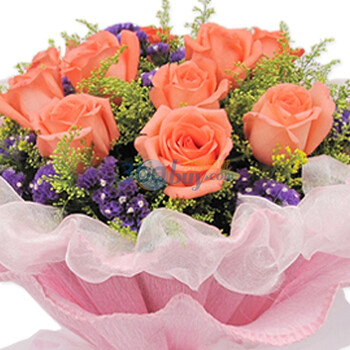 11枝粉玫瑰花束+高档包装