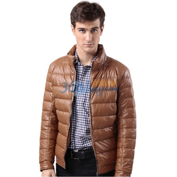 稻草人男装2011冬季新品 时尚休闲纯色立领羽绒服UR115248三色 巧克力 185/100A(XL)