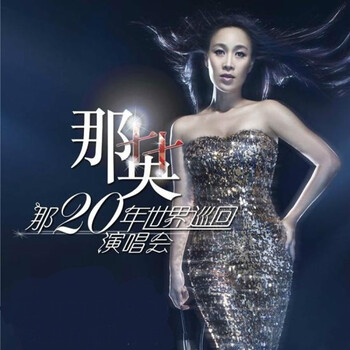 那二十年--那英世界巡回演唱会上海站2011年1